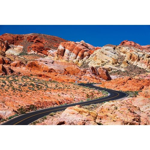The park road winding through colorful sandstone-Valley of Fire State Park-Nevada-USA